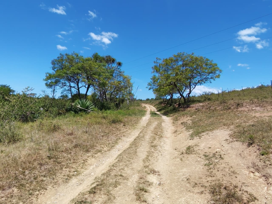 Commercial Property for Sale in Komga Rural Eastern Cape
